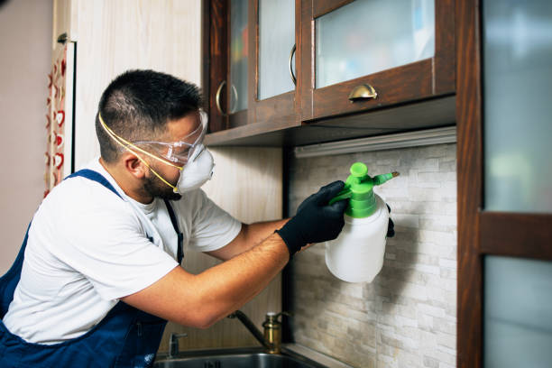 Best Mosquito Control Services  in Weston, MO