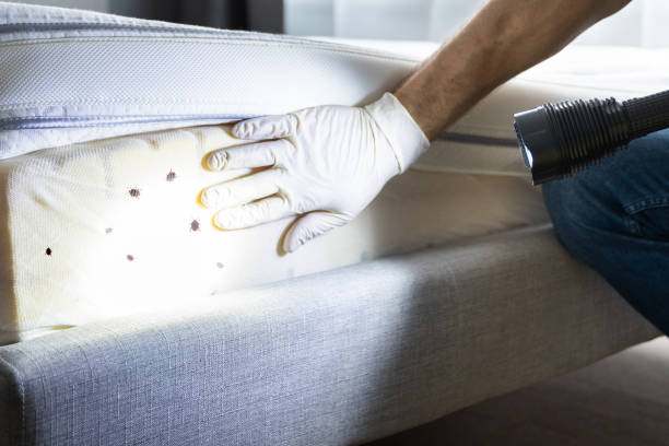Best Residential Pest Control  in Weston, MO